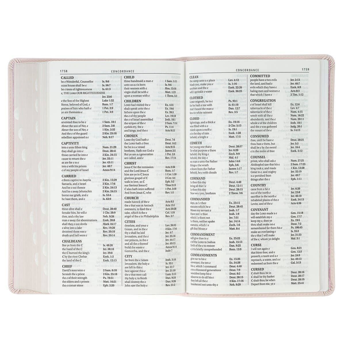KJV Bible Giant Print Standard-size Faux Leather, Pink 2025