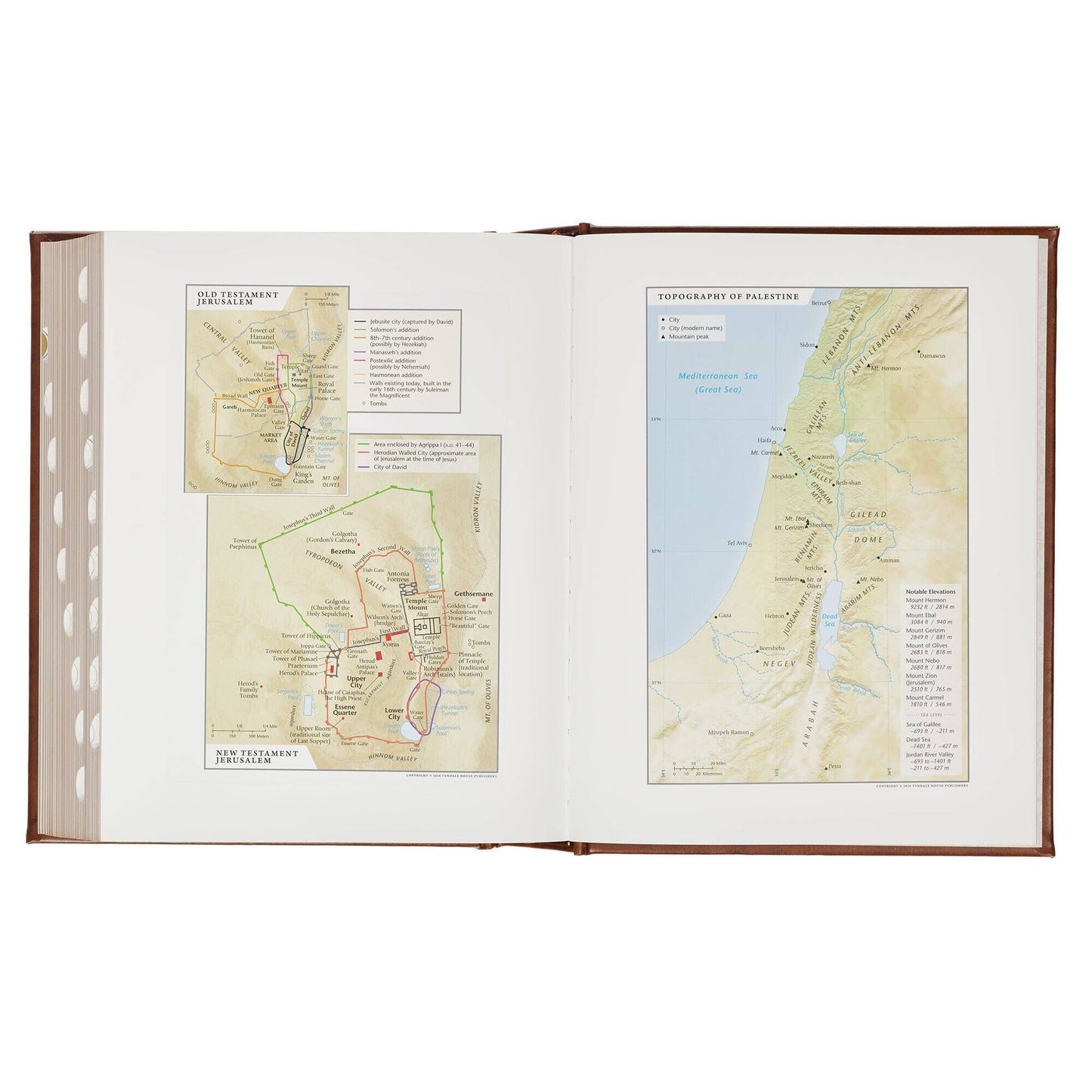 NLT, The Family Heritage Bible Hardcover, Brown