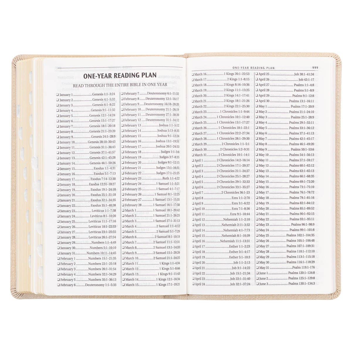 KJV Bible Deluxe Gift Faux Leather, Pearlescent Taupe