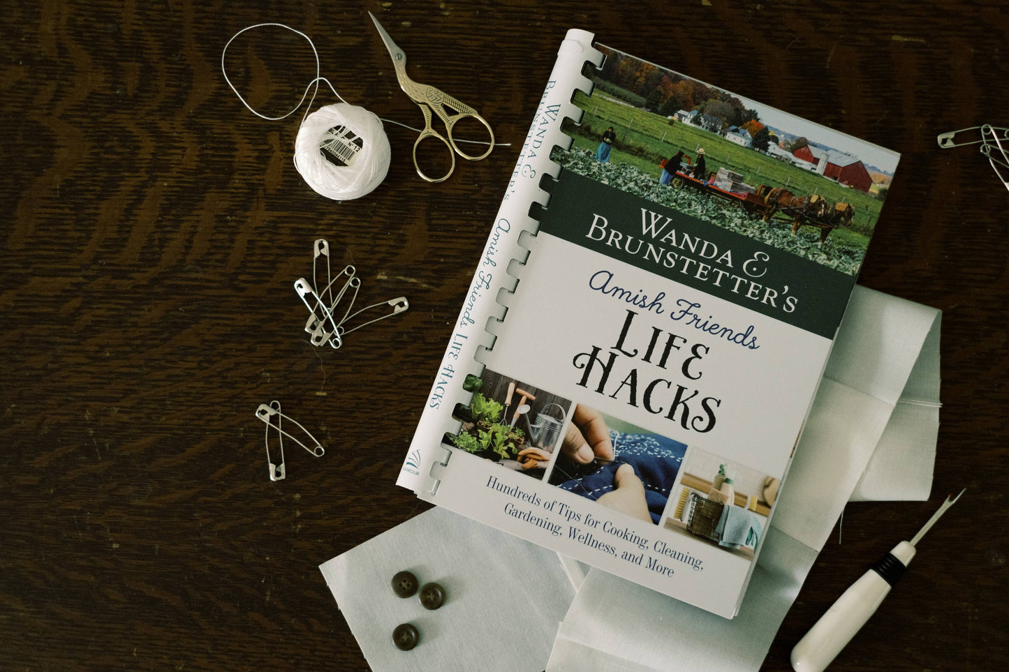 Wanda E. Brunstetter's Amish Friends Life Hacks