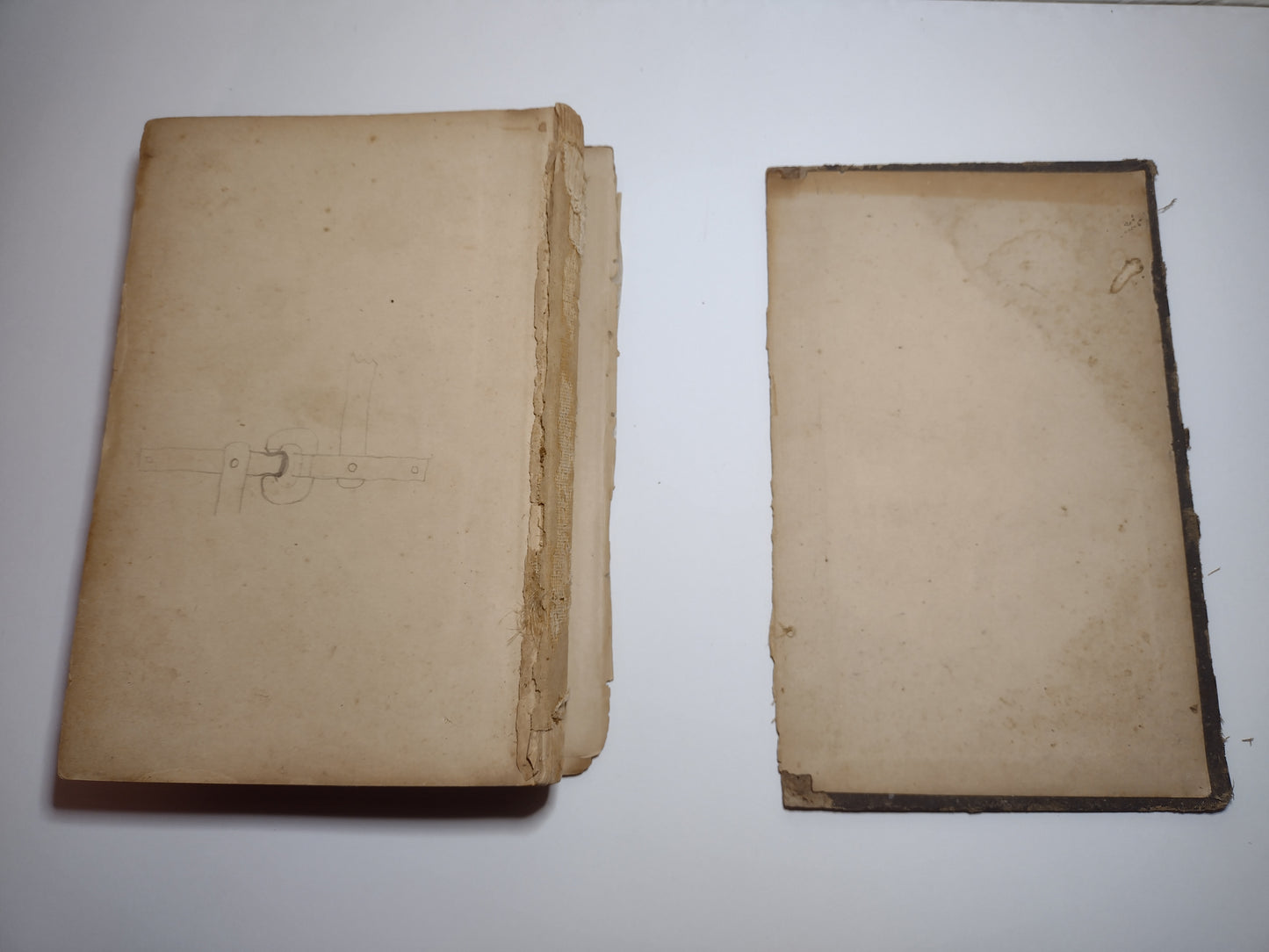 Elements of Natural Philosophy