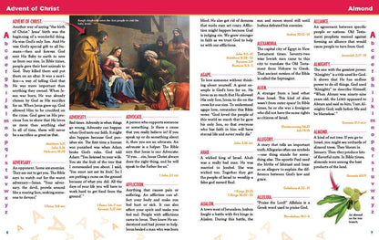 Kids' Illustrated 1-Minute Bible Guide