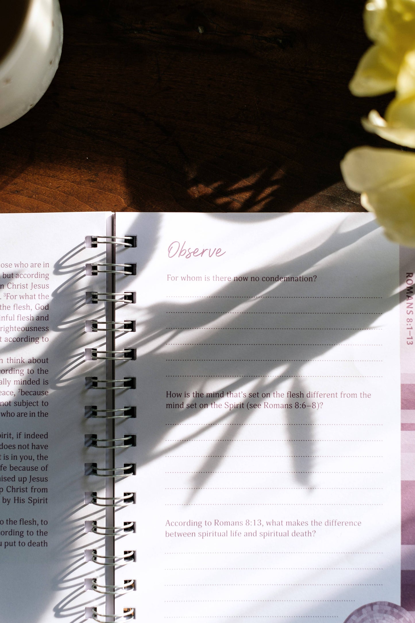 Romans: An All-in-One Study on Salvation and New Life