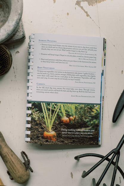 Wanda E. Brunstetter's Amish Friends Life Hacks