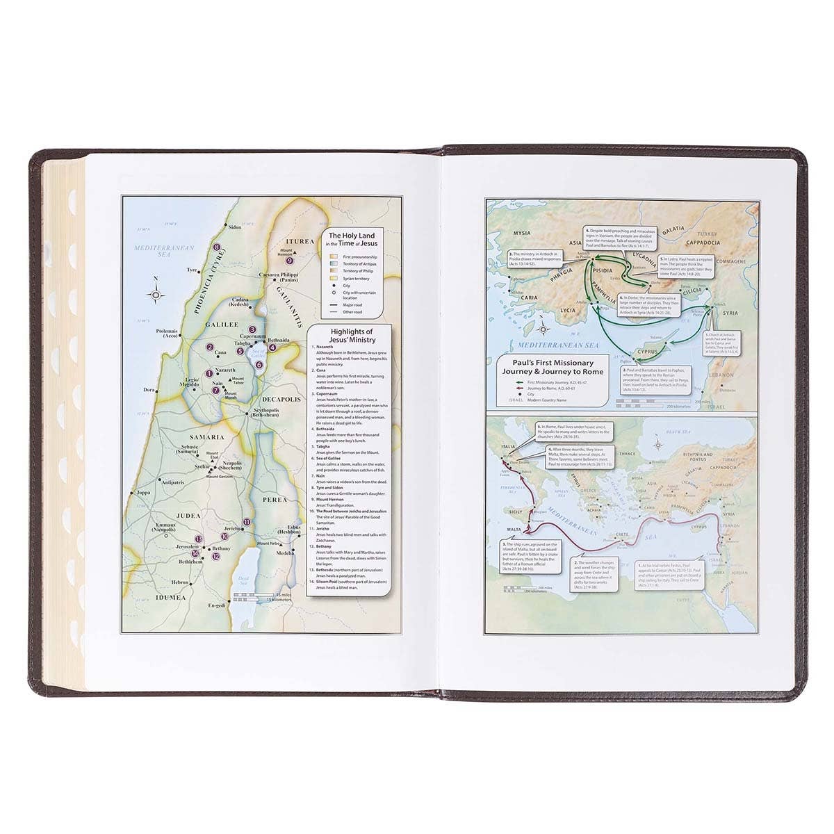 KJV Bible Thinline LP Faux Leather, Dark Brown