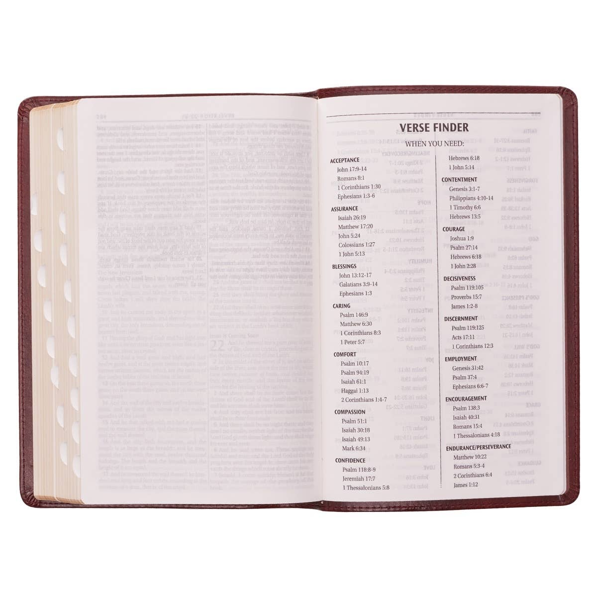 KJV Bible Deluxe Gift Faux Leather, Saddle Tab
