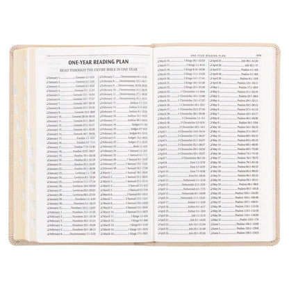 KJV Bible Deluxe Gift Faux Leather, Pearlescent Taupe