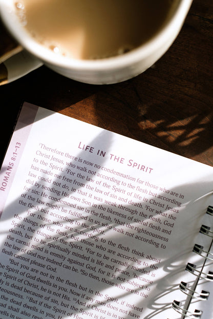 Romans: An All-in-One Study on Salvation and New Life