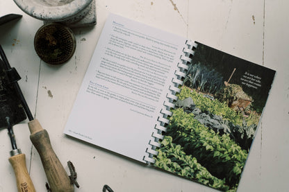 Wanda E. Brunstetter's Amish Friends Life Hacks