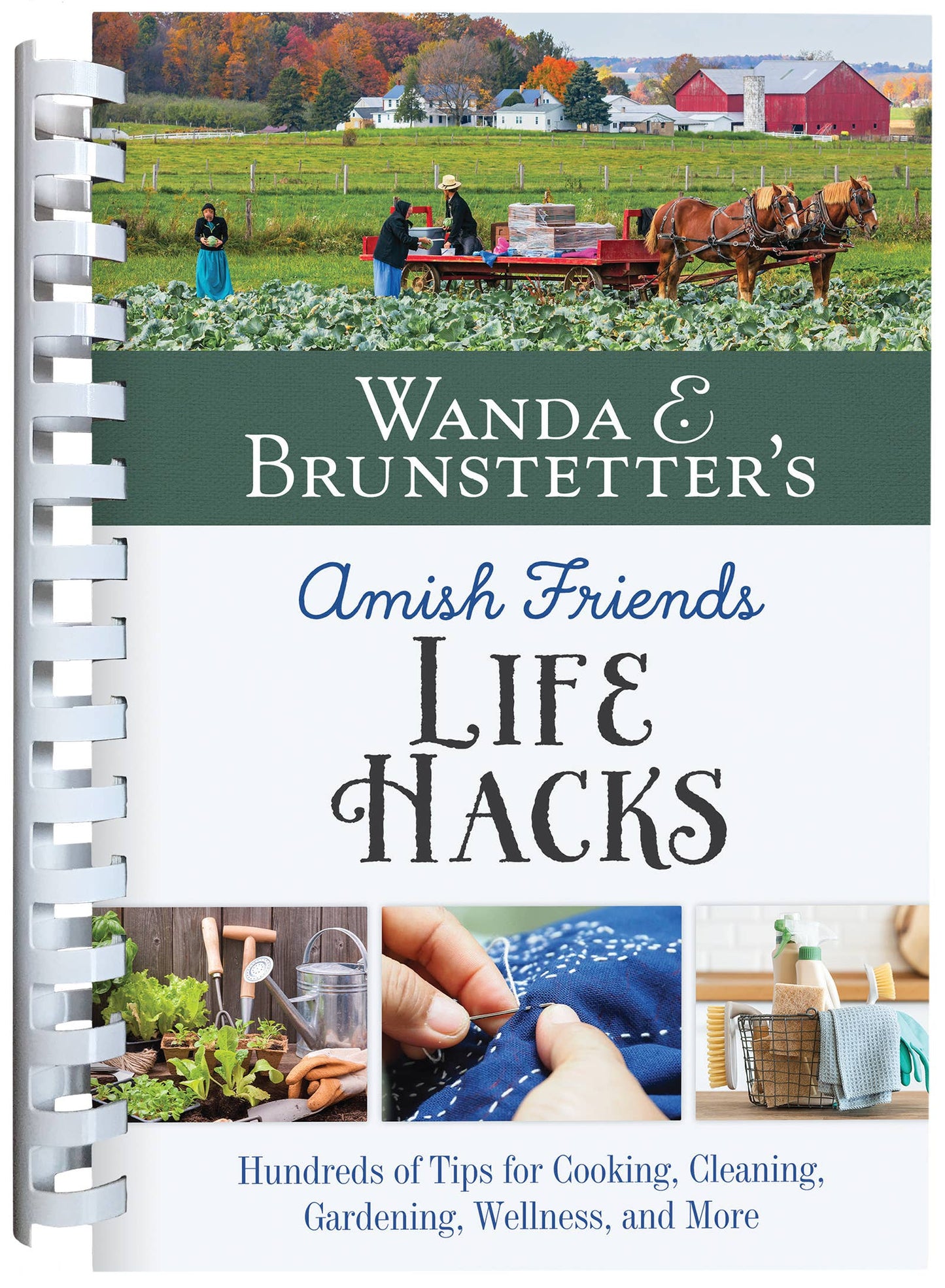 Wanda E. Brunstetter's Amish Friends Life Hacks