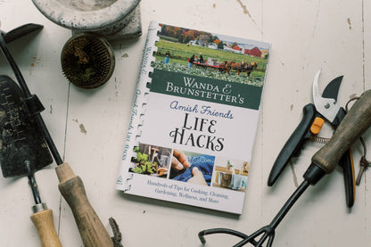 Wanda E. Brunstetter's Amish Friends Life Hacks