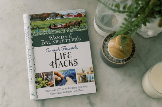 Wanda E. Brunstetter's Amish Friends Life Hacks