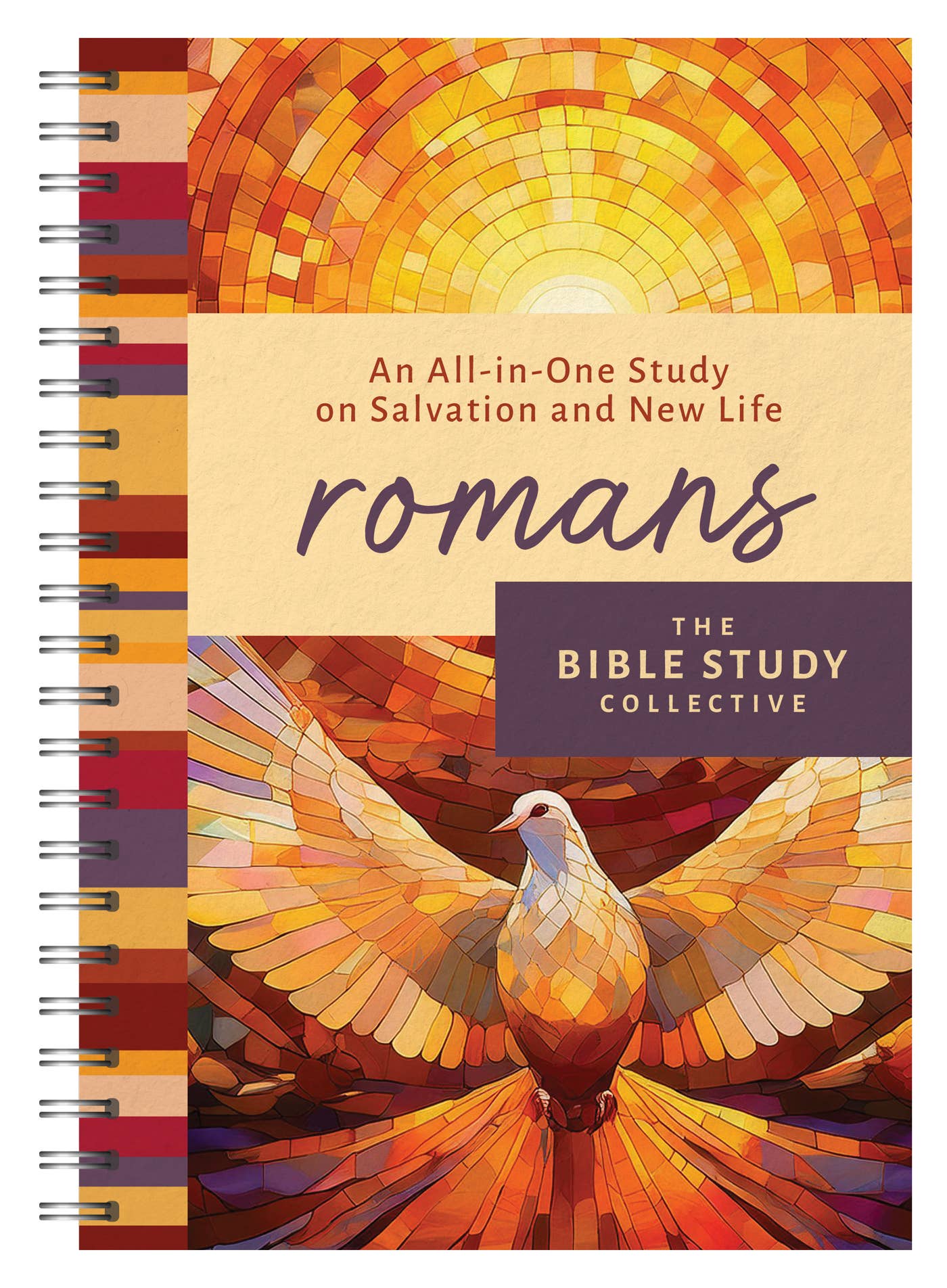 Romans: An All-in-One Study on Salvation and New Life