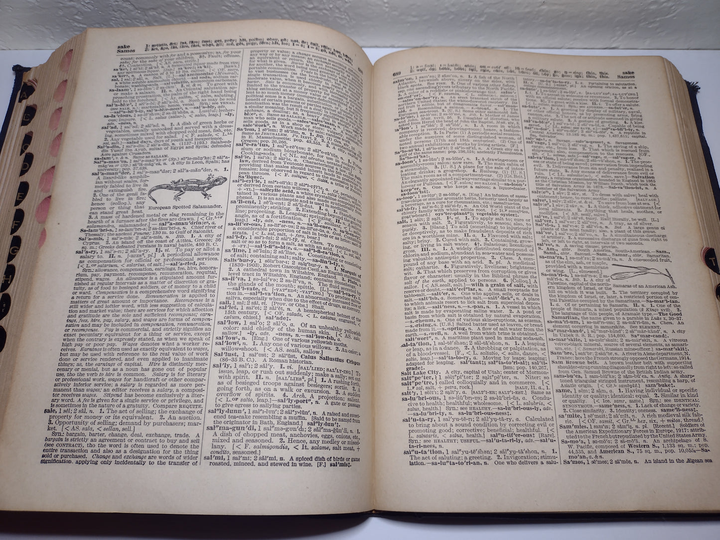 Standard Universal Dictionary