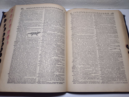 Standard Universal Dictionary