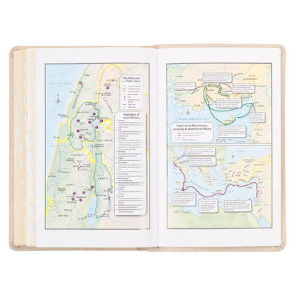 KJV Bible Deluxe Gift Faux Leather, Pearlescent Taupe