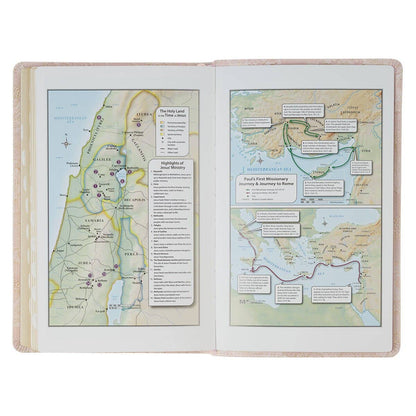 KJV Bible Deluxe Gift Faux Leather, Pink 2025