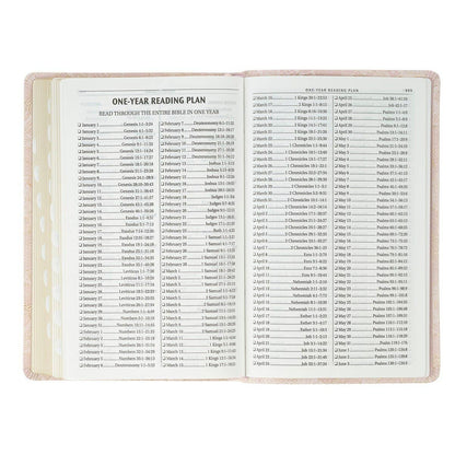 KJV Bible Deluxe Gift Faux Leather, Pink 2025