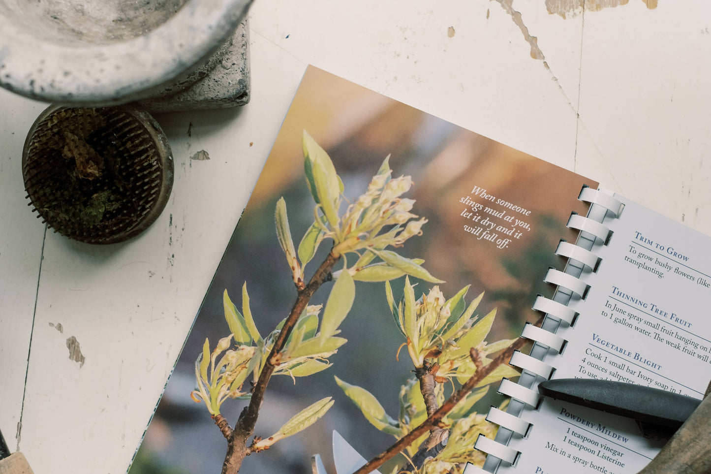 Wanda E. Brunstetter's Amish Friends Life Hacks