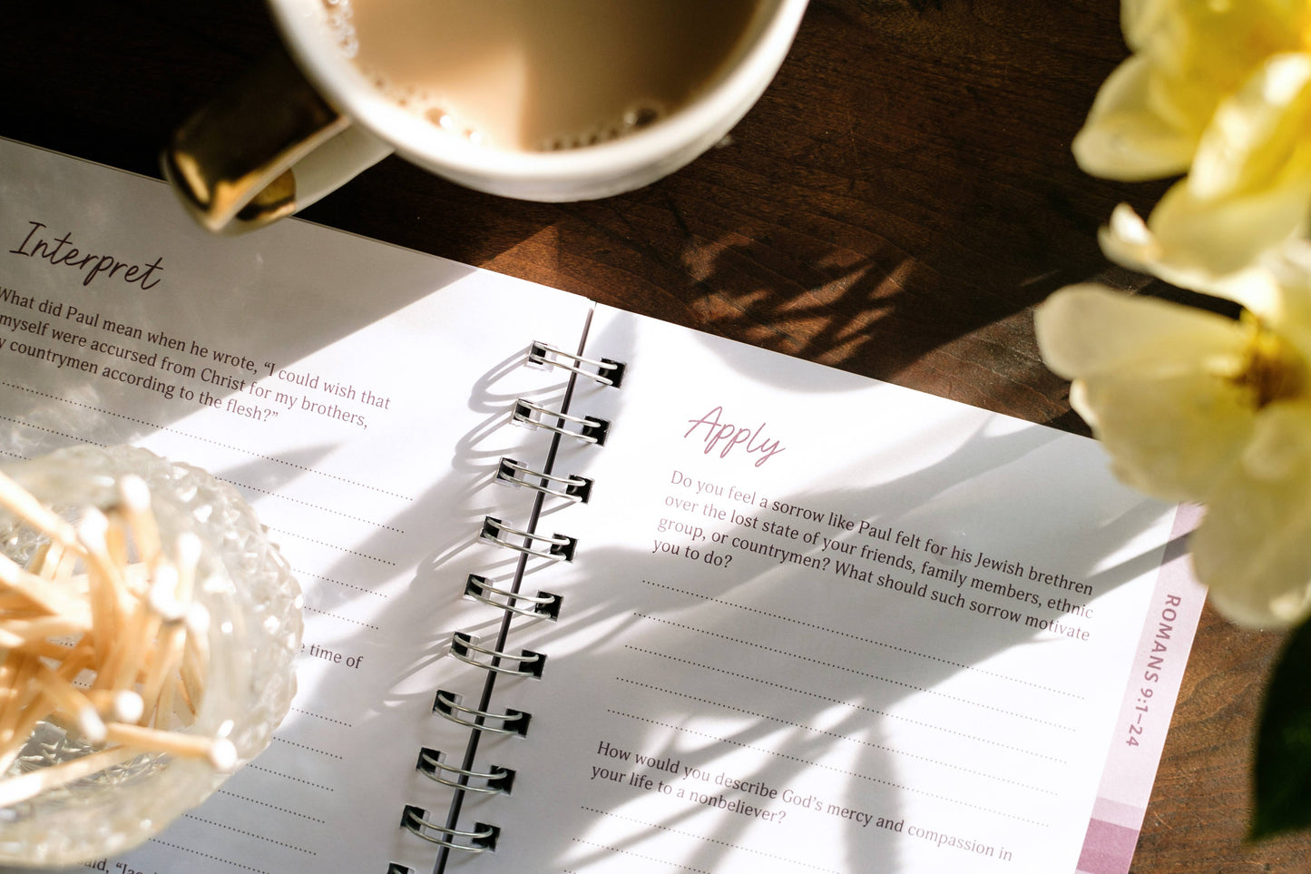 Romans: An All-in-One Study on Salvation and New Life