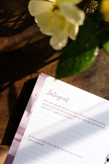 Romans: An All-in-One Study on Salvation and New Life