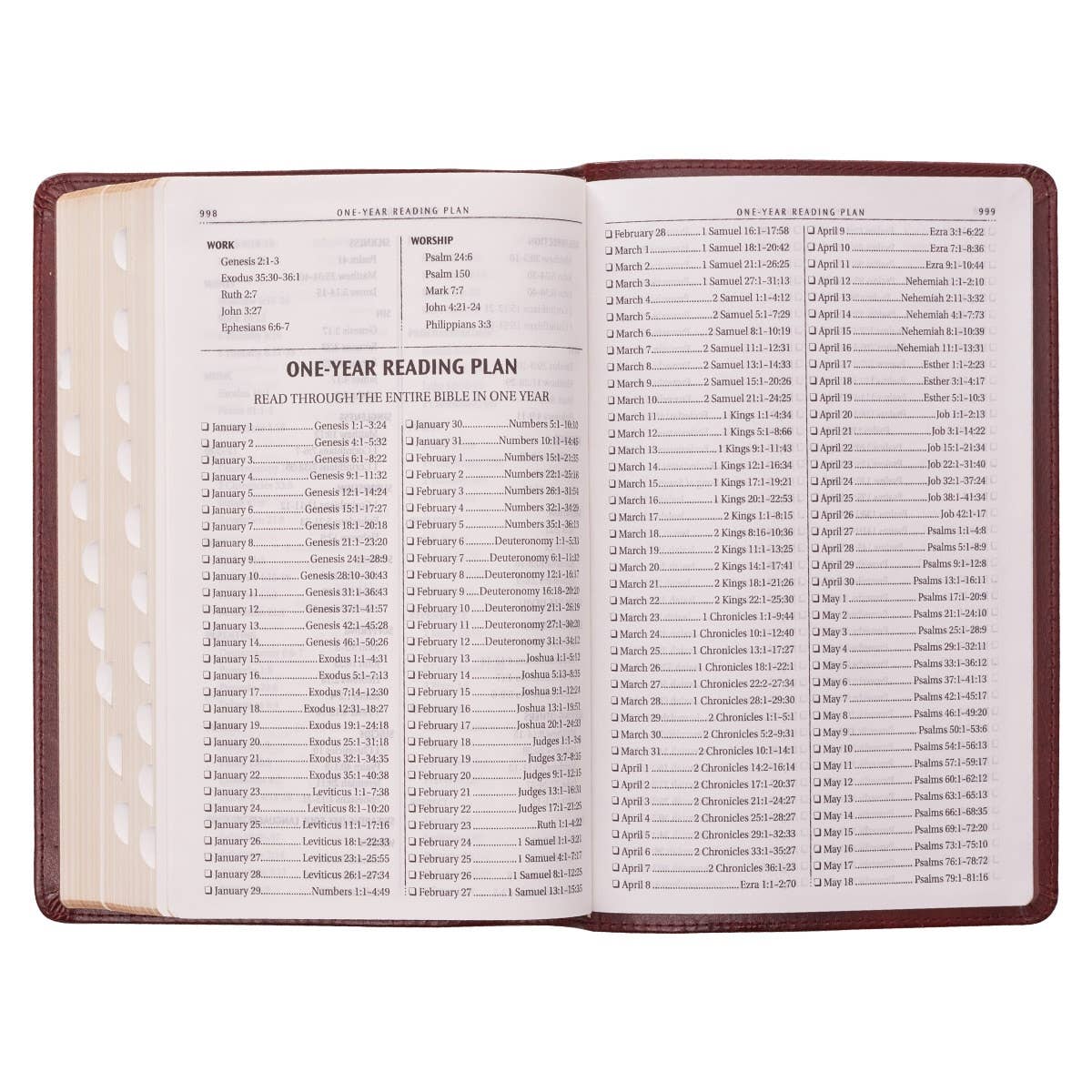 KJV Bible Deluxe Gift Faux Leather, Saddle Tab