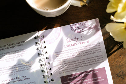 Romans: An All-in-One Study on Salvation and New Life